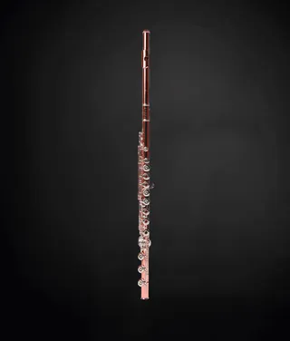 Fabíola Alves is a white woman with shoulder-length brown hair. She is wearing glasses, a black spaghetti strap dress, and holding a piccolo.