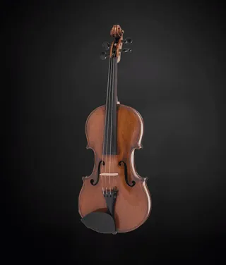 Violino